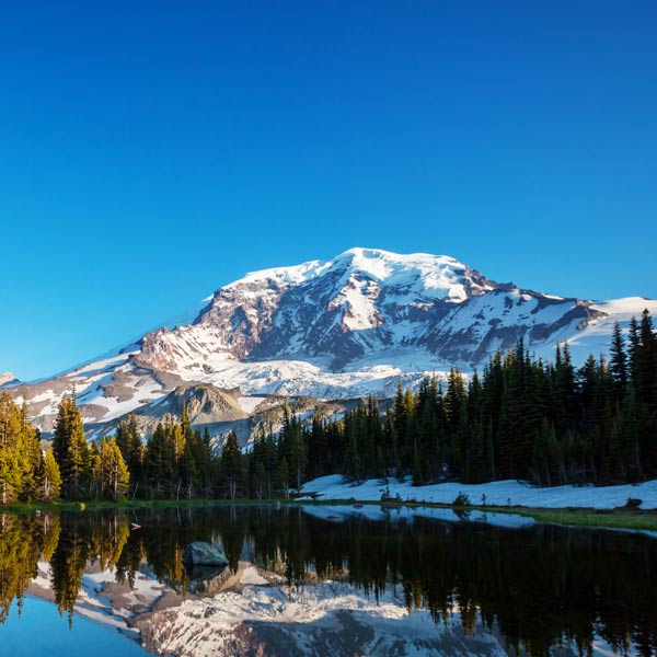 Lake view of Mount Rainier.