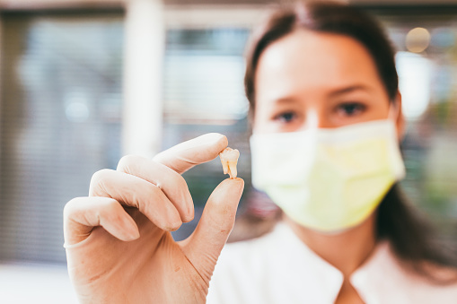 Woman with face mask holding up a single tooth at Karl Hoffman Dentistry in Lacey, WA